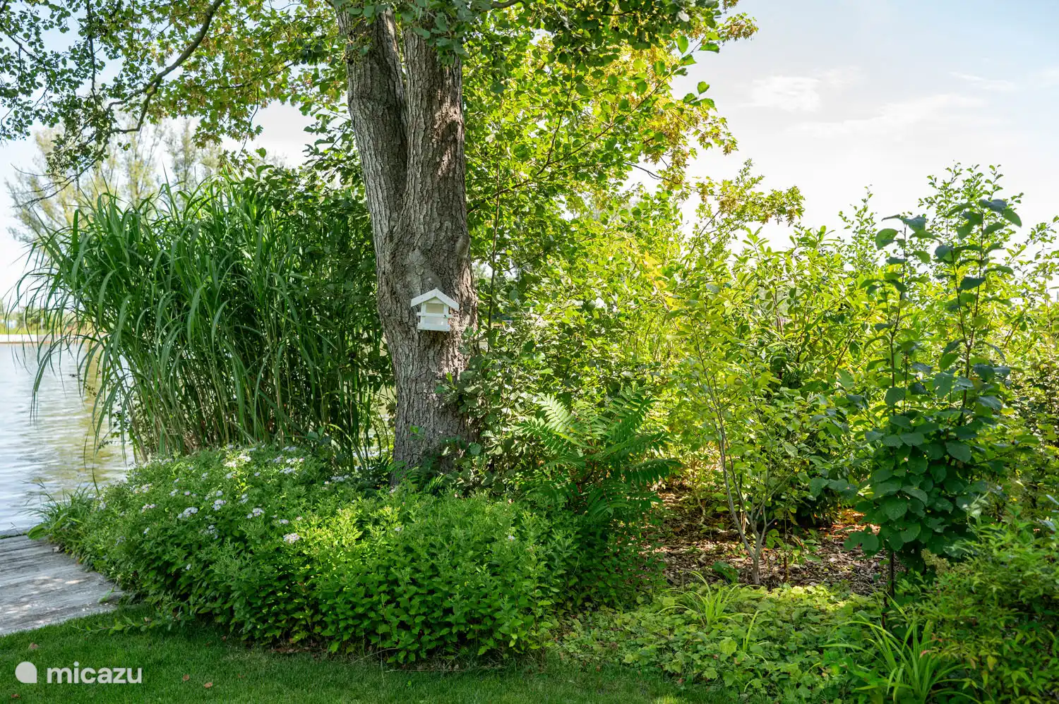 Jardin