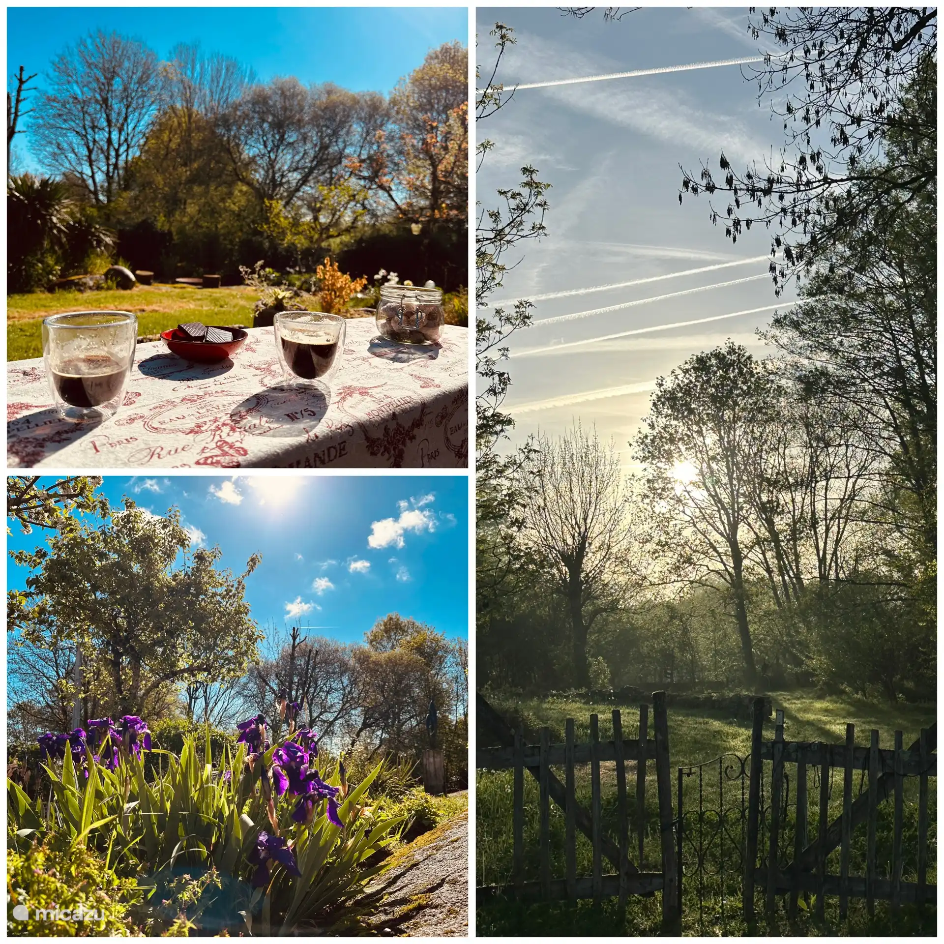 Café, lever de soleil et jardin. Mi-temps.