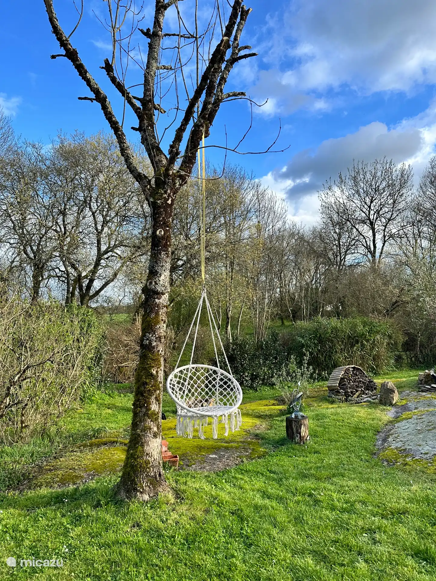 Profitez de la balançoire des arbres du jardin, avec un livre et rien.