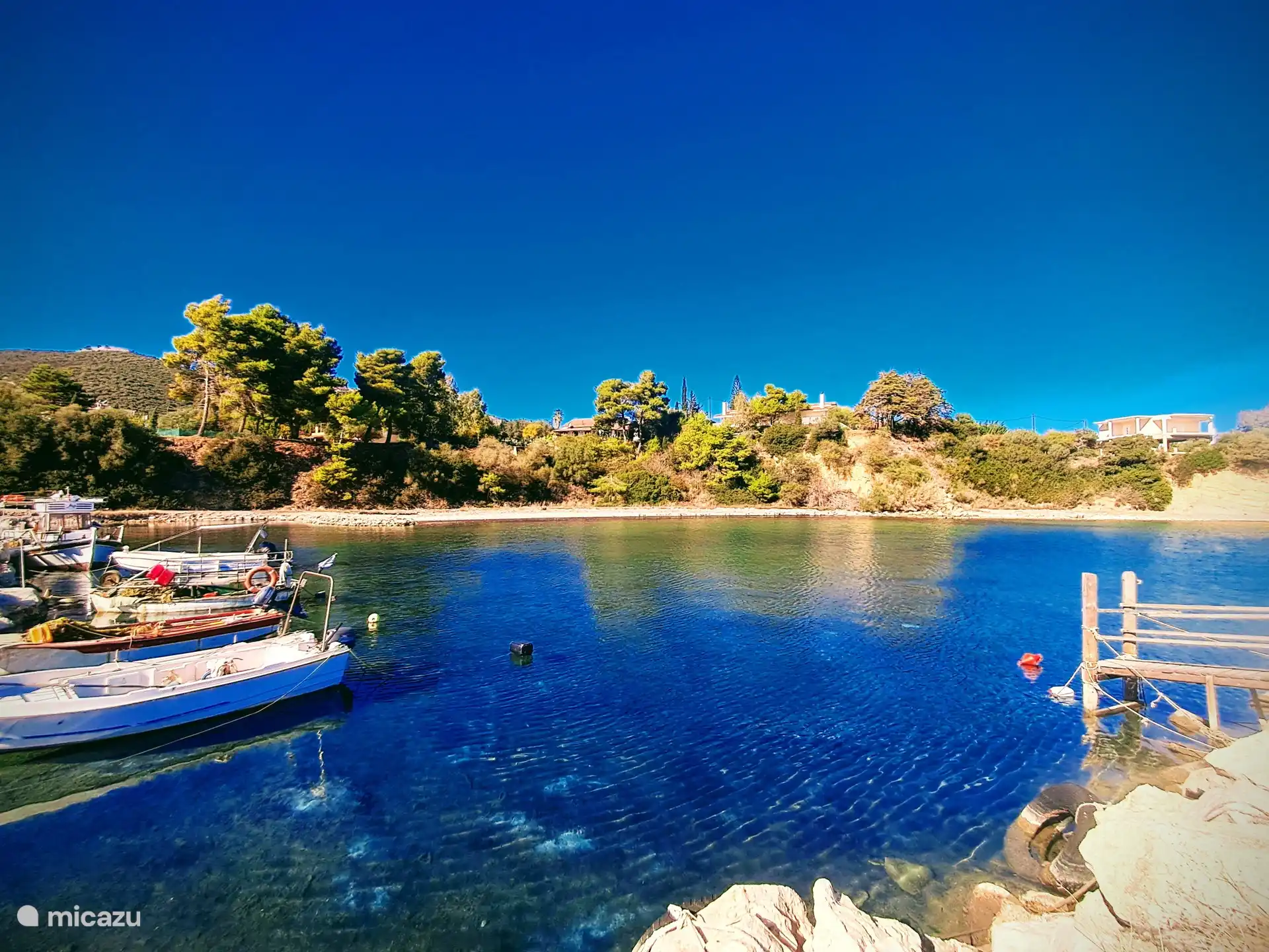 Pogonia kleiner Hafen