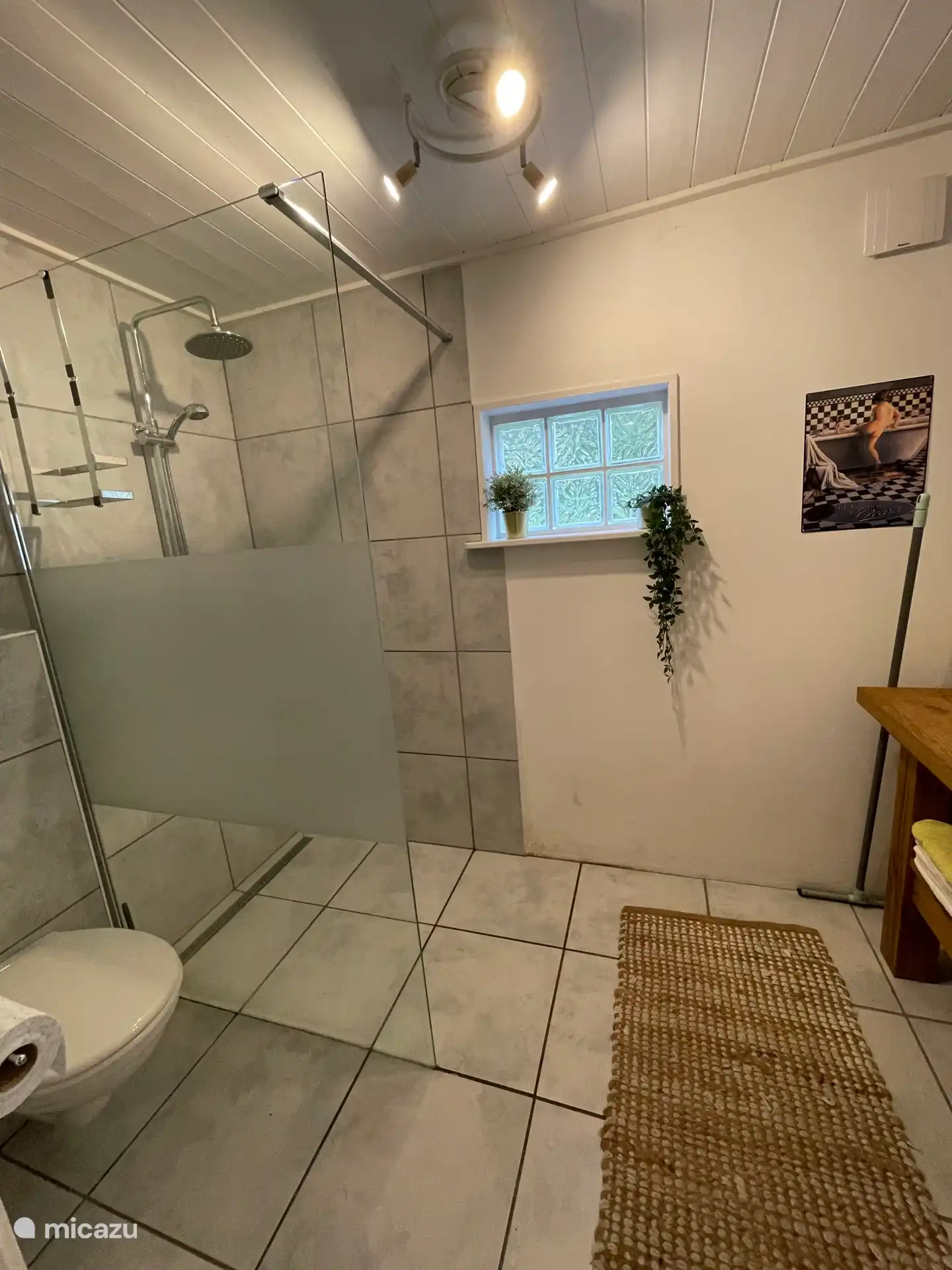 Dusche, Toilette und Waschbecken des Badezimmers im Erdgeschoss.