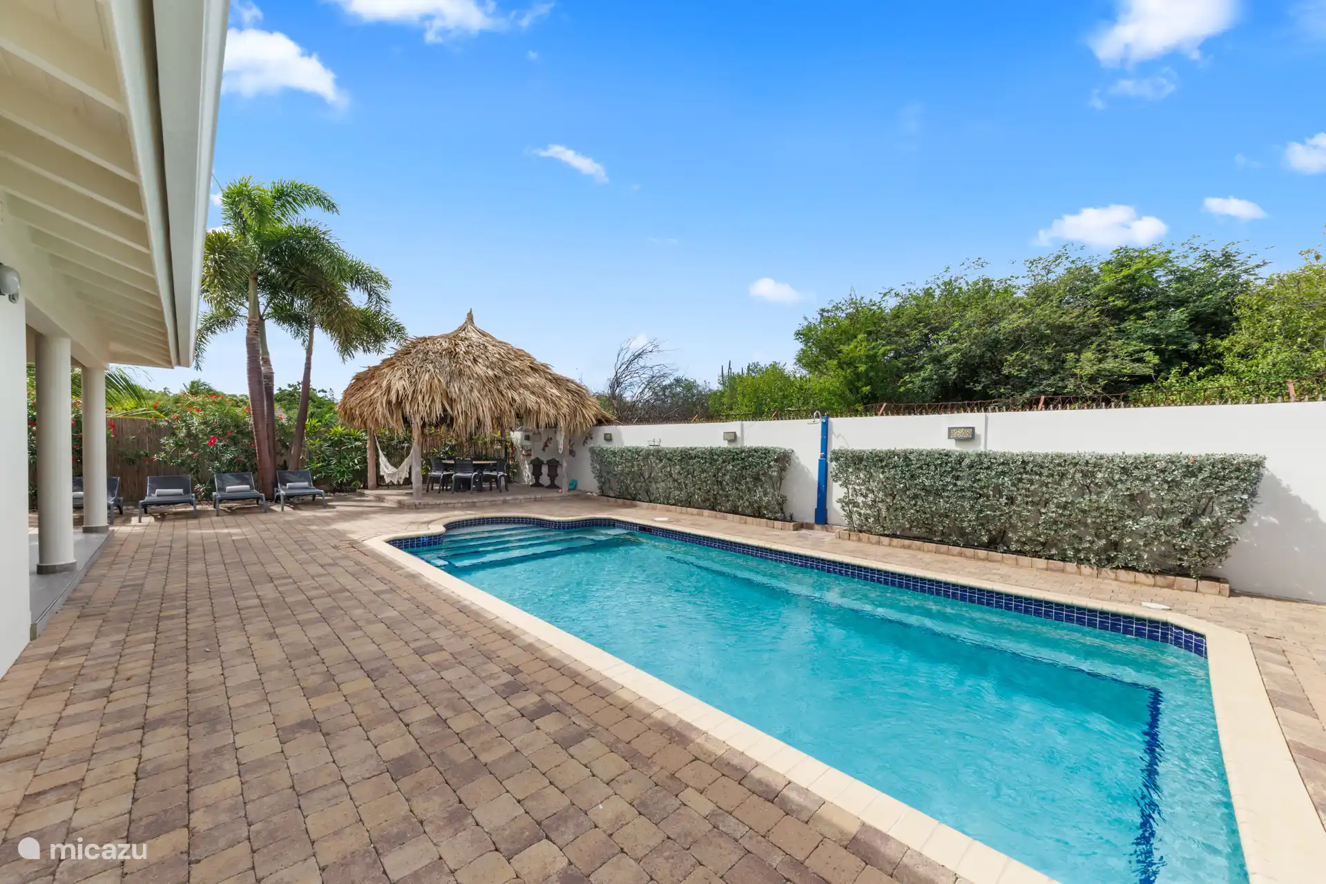 Large private swimming pool 