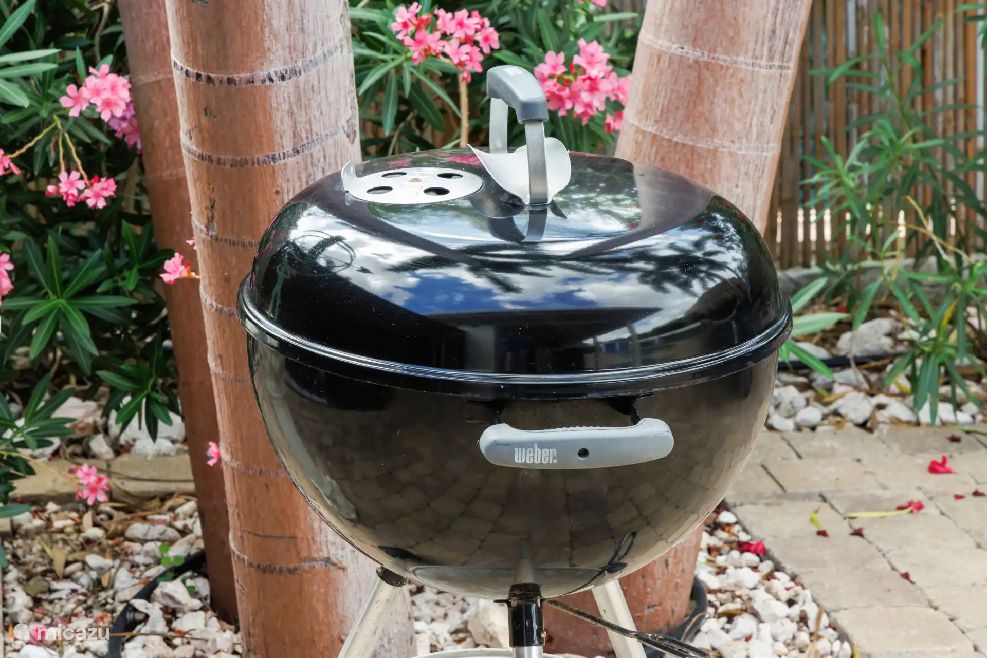 A BBQ cannot be missed!