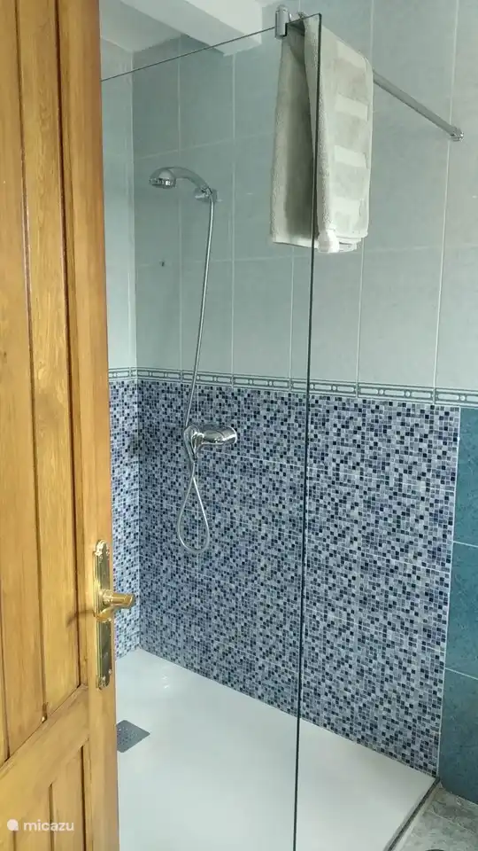 Salle de bain avec douche, toilette et lavabo