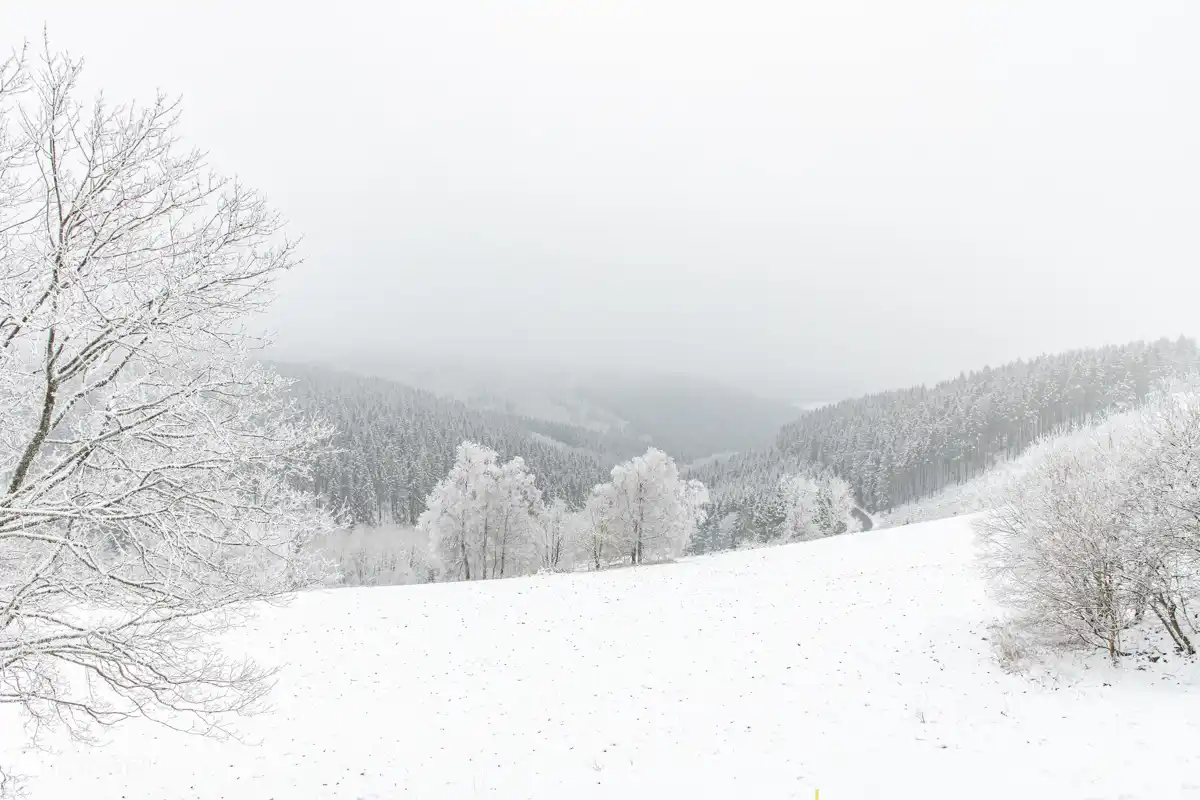 Hermosa vista invernal
