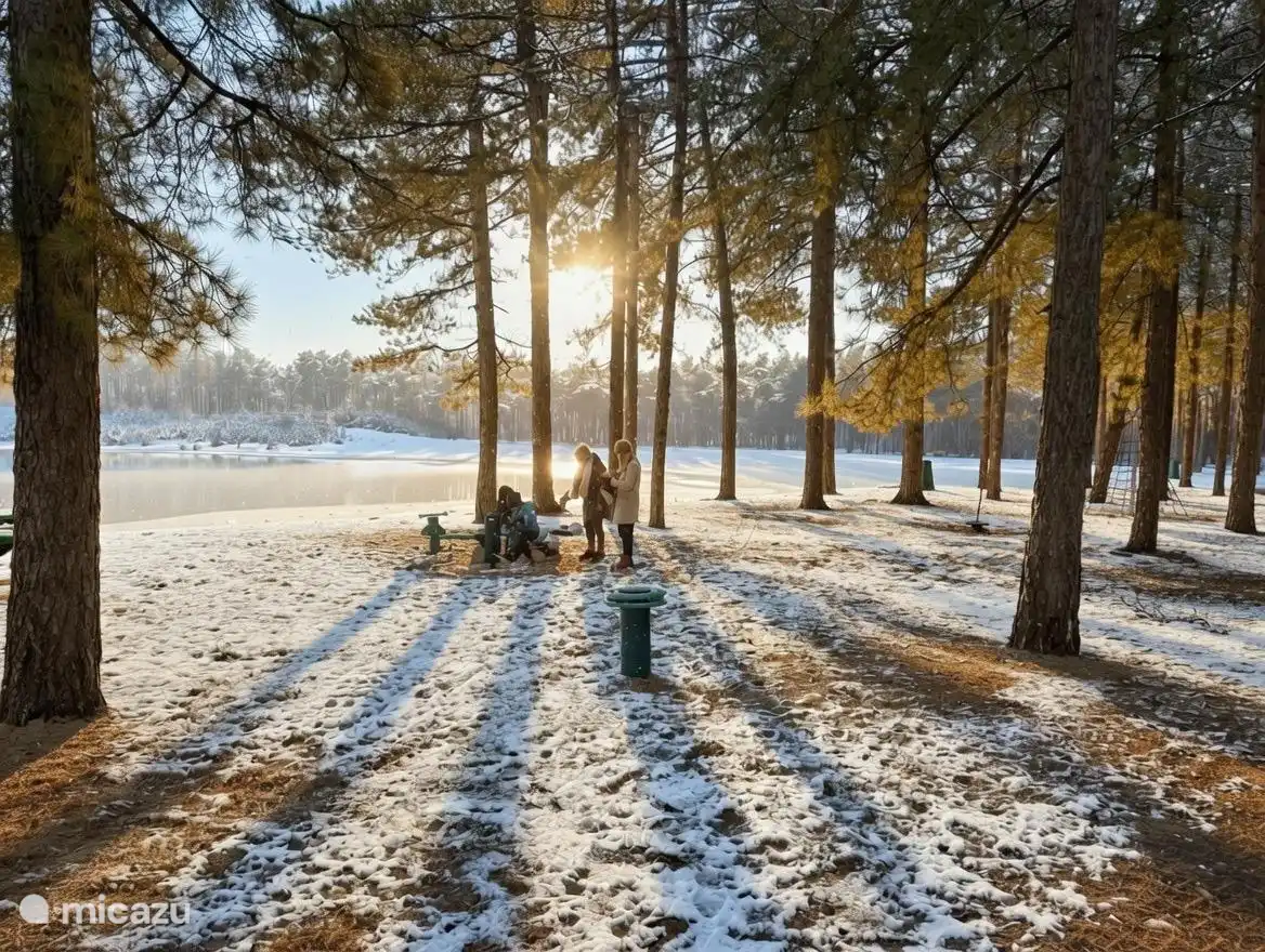 Maak een heerlijke wandeling naar de Zandenplas vanuit ons boshuisje