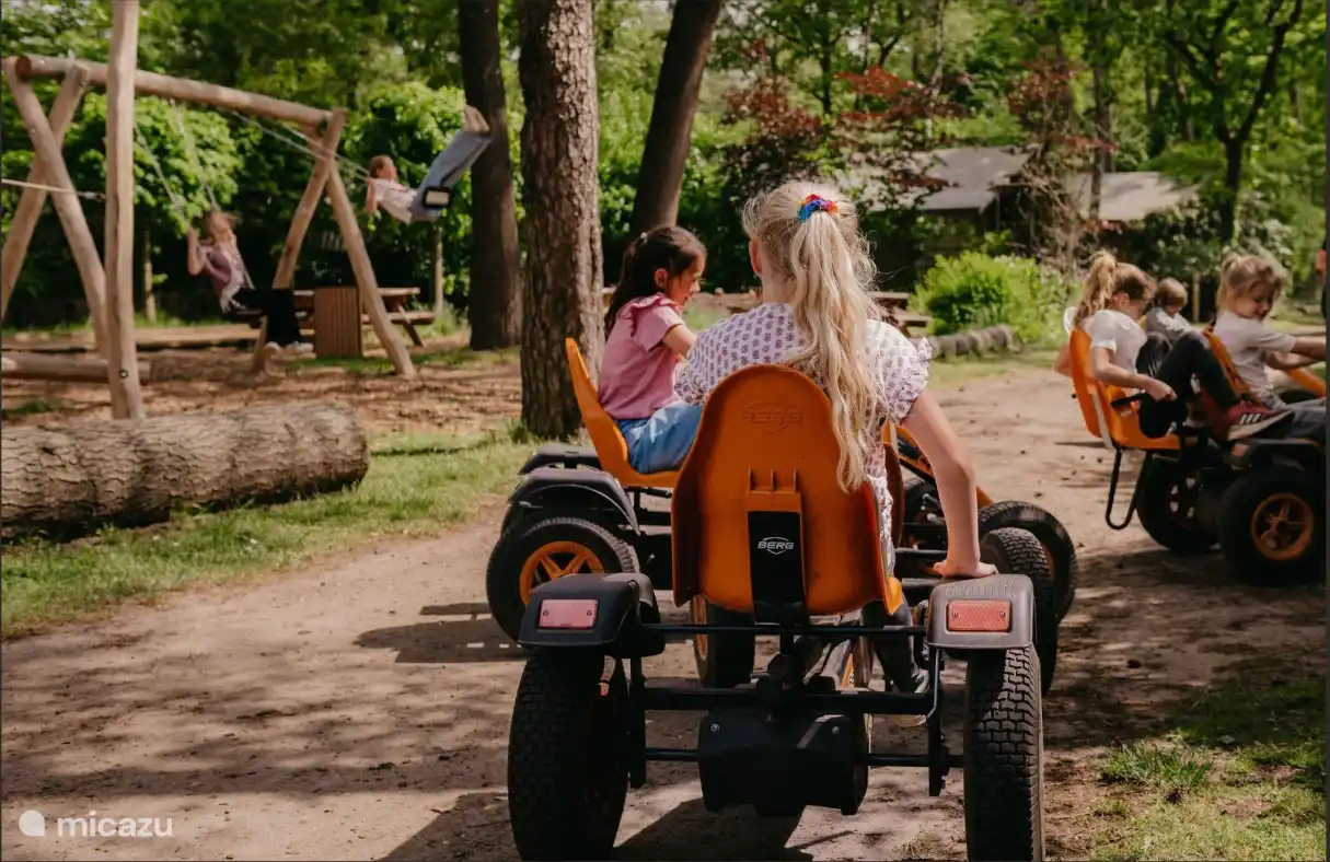 Maravilloso paseo en karts en el parque forestal