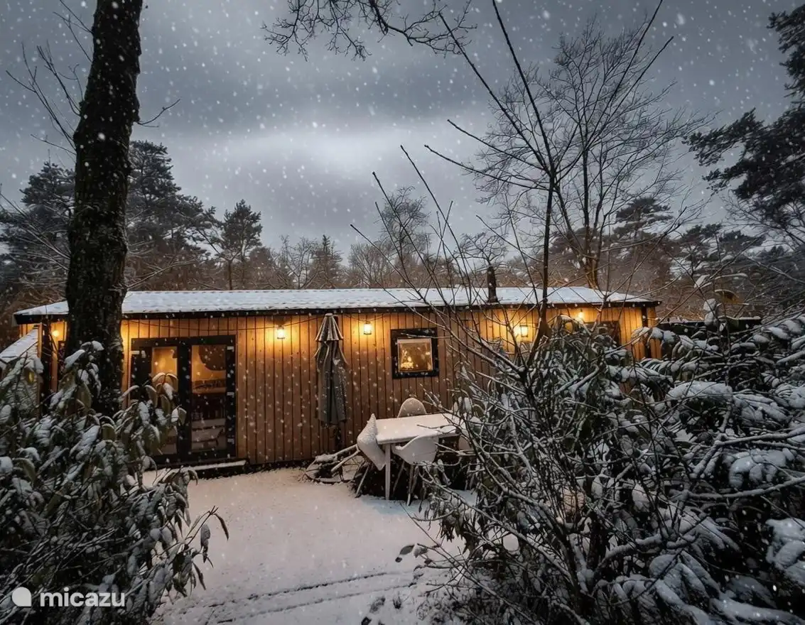 Boshuisje in de wintertijd.