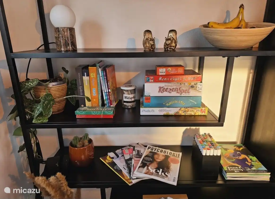 Kast met spelletjes, tijdschriften en boeken