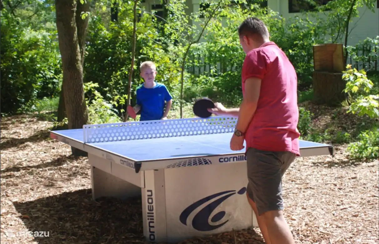 Tenis de mesa en el parque forestal
