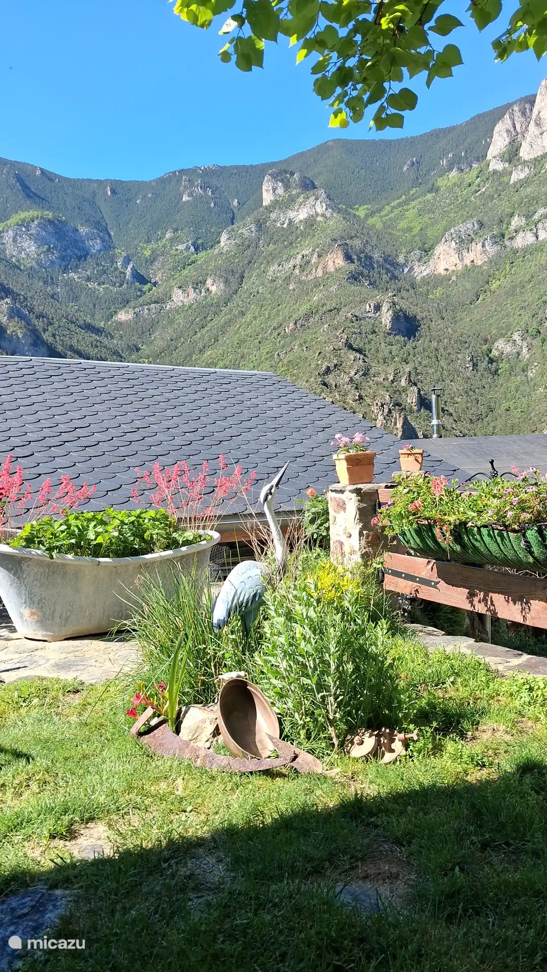 Nature 