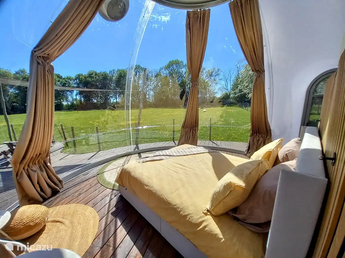 Enjoy the view from your bed.