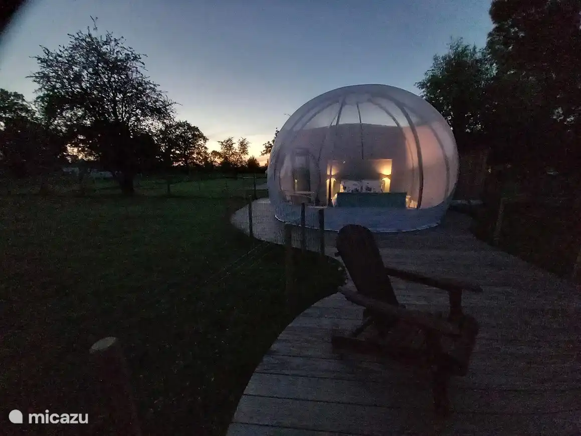 Vanuit je bed de nachtelijke sterrenhemel bekijken.