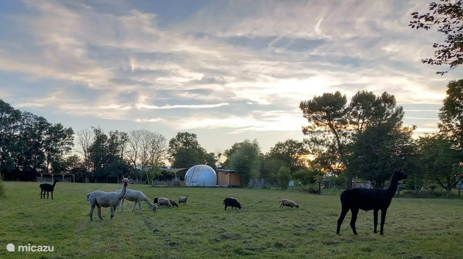 Rust is hier het sleutelwoord.