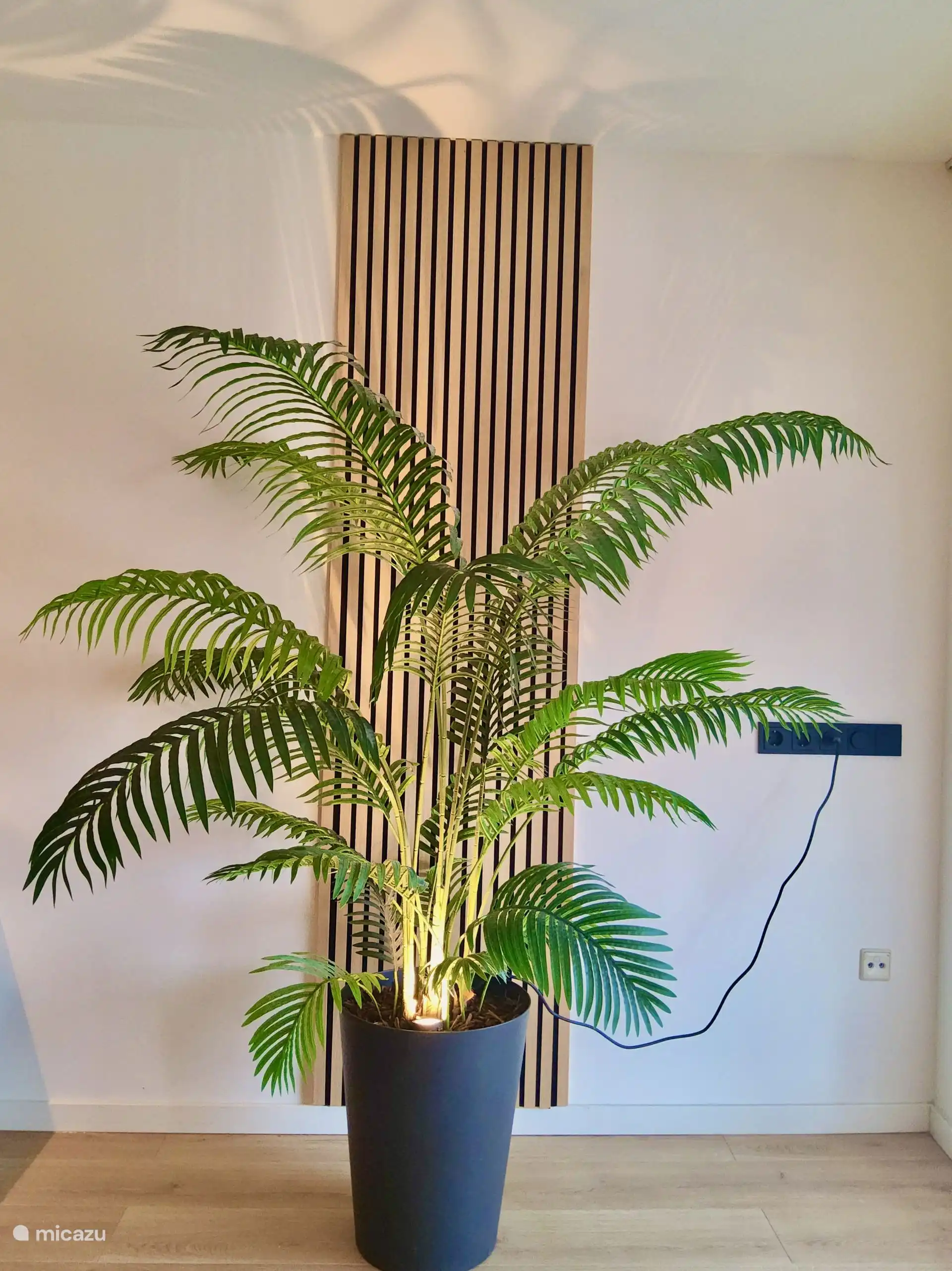 Planta de interior 
