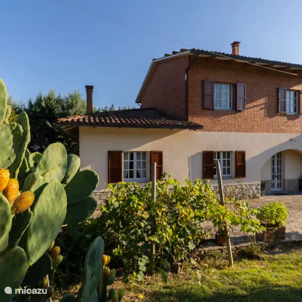 Villa Mimosa