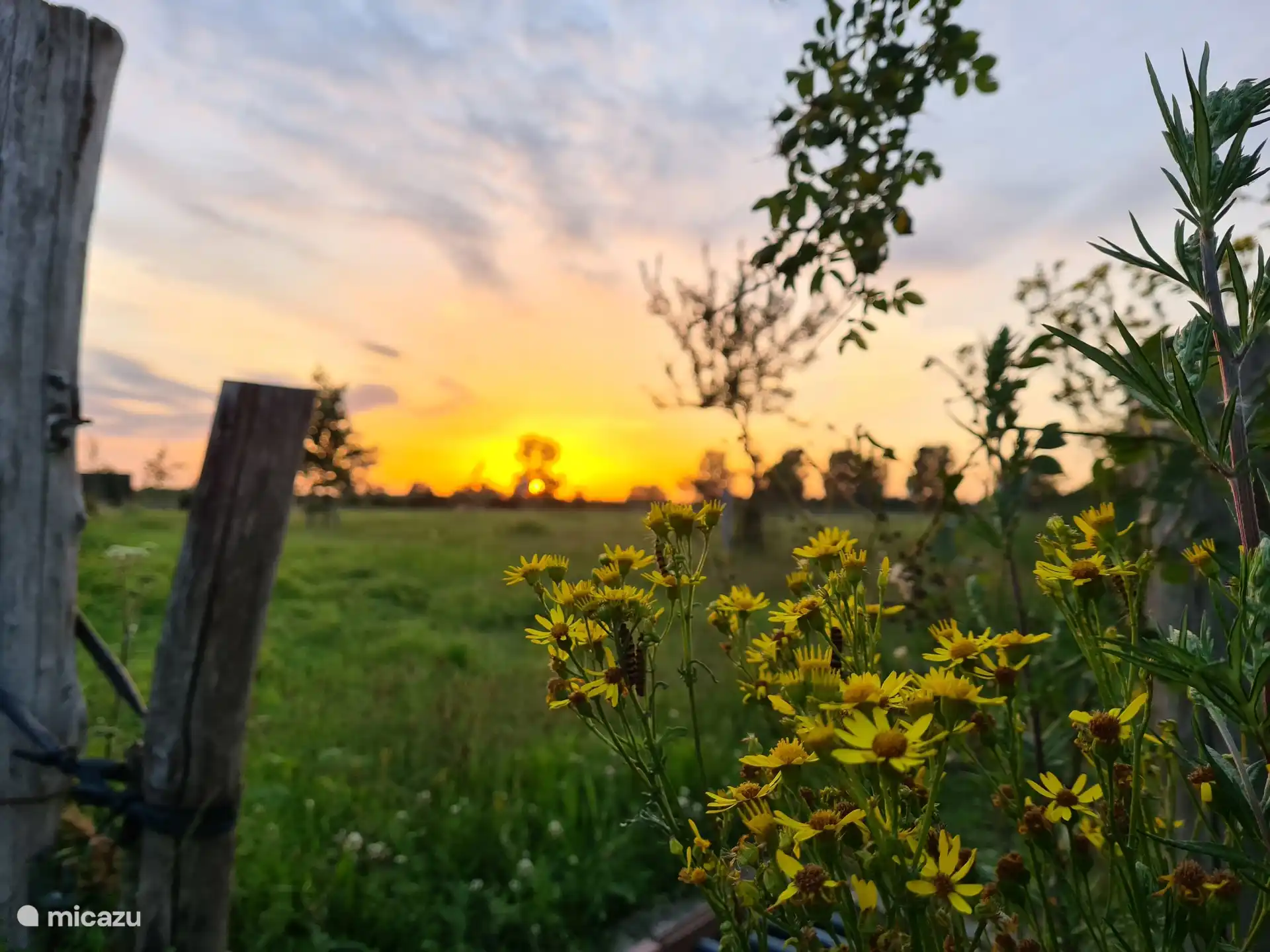 genieten van mooie zonsondergang