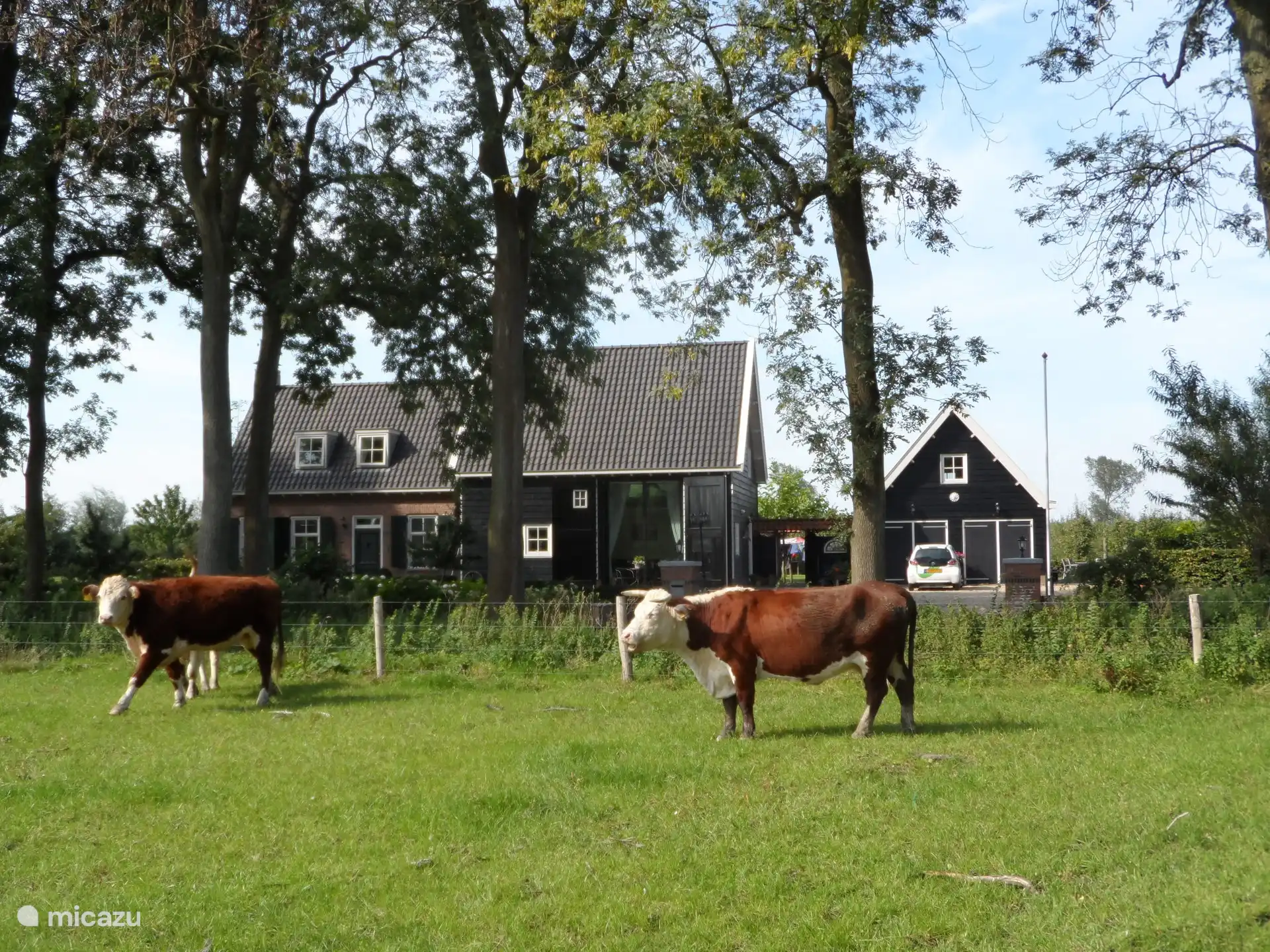 mooi uitzicht over natuurgebied Zwaakseweel