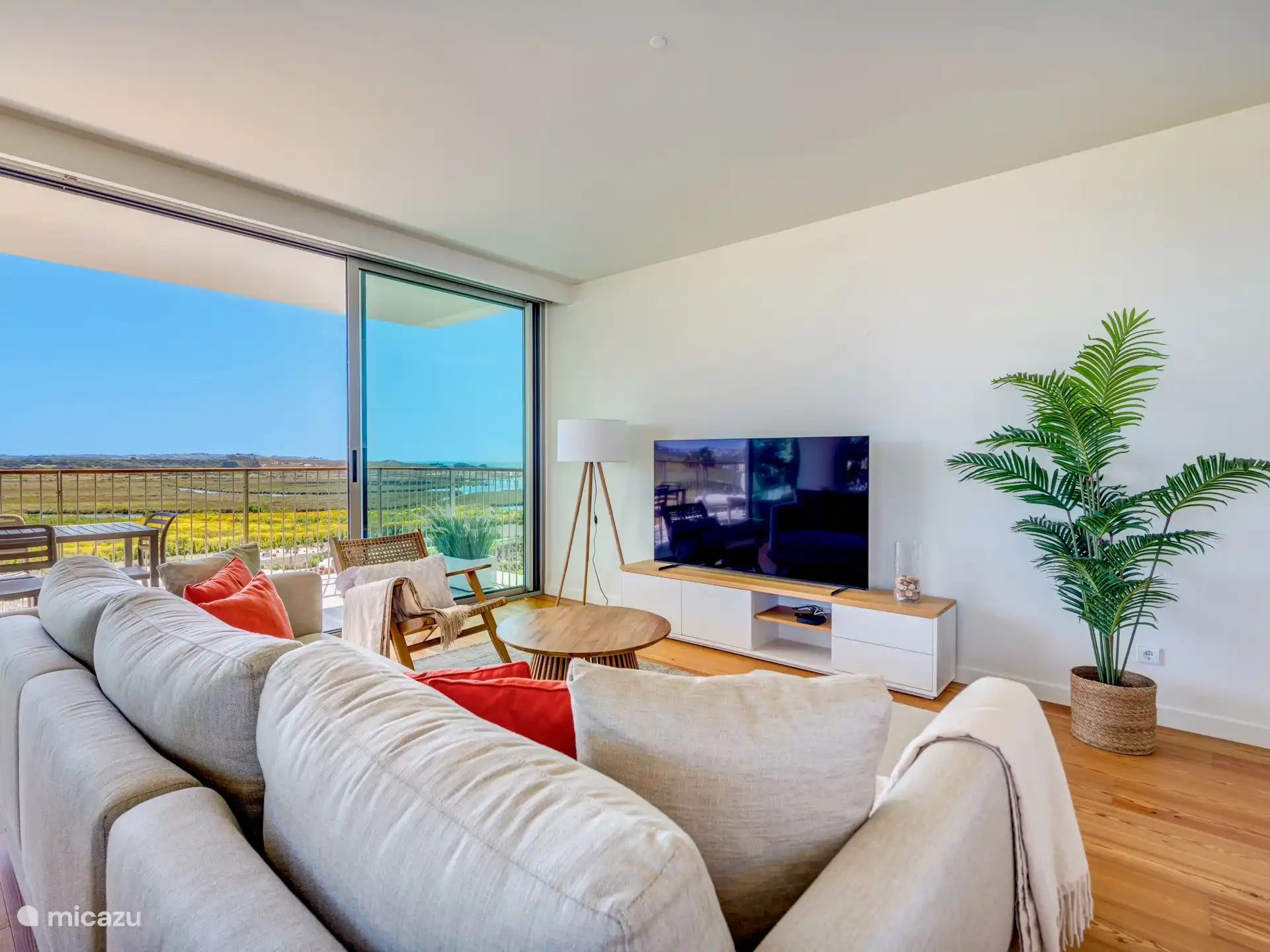 65 Sony Smart TV, Netflix, Apple TV streaming