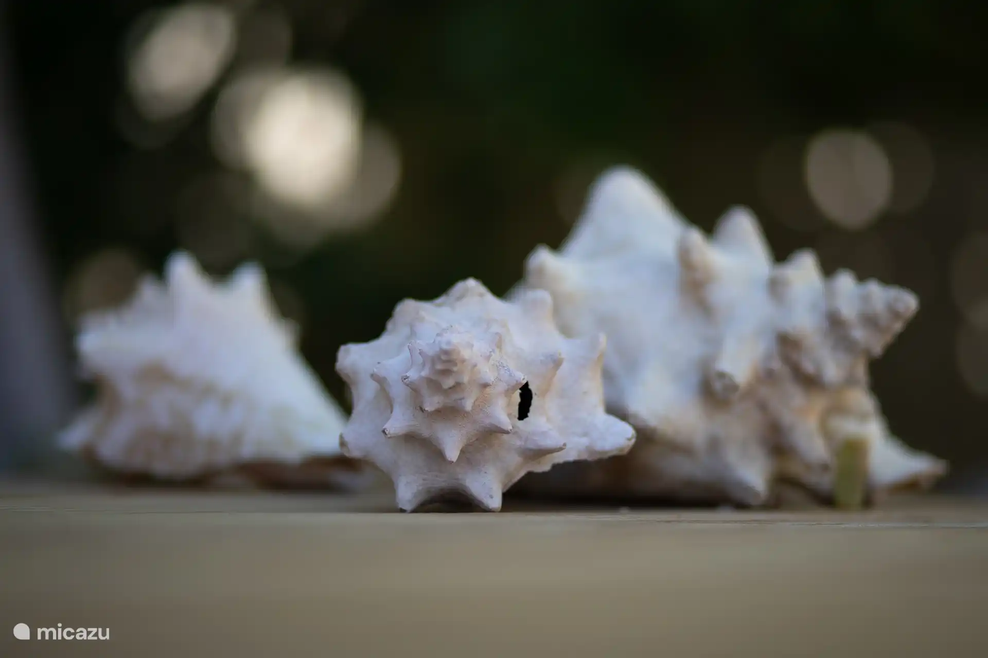 Accesorios tropicales por todas partes