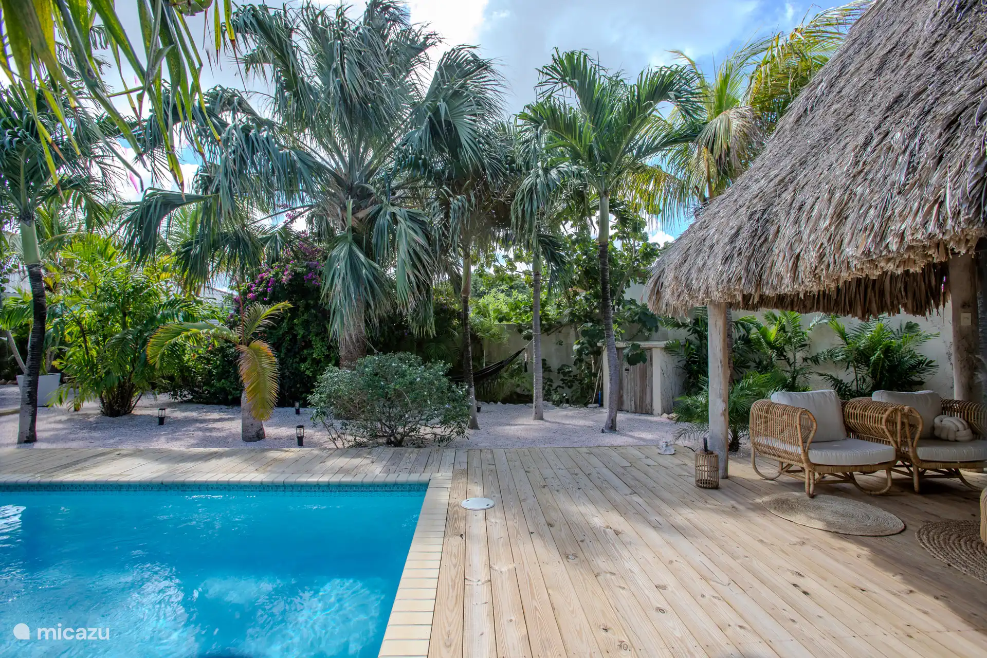 Parte del hermoso jardín tropical con grandes palmeras