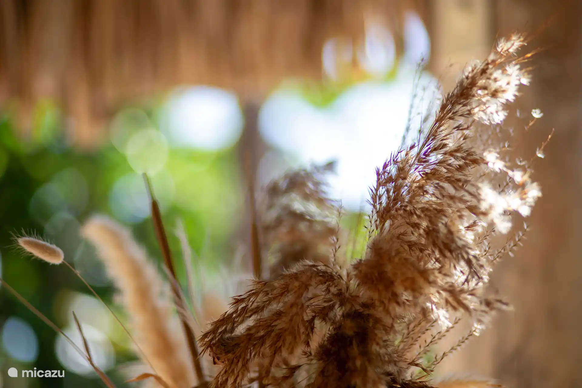 Detalle de un ramo en la palapa