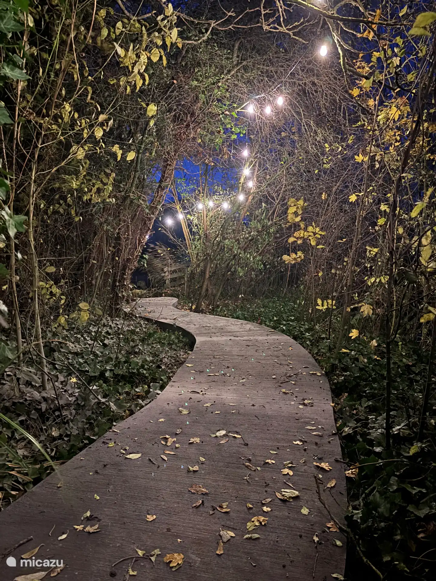 Pad naar 't Vijverhuys