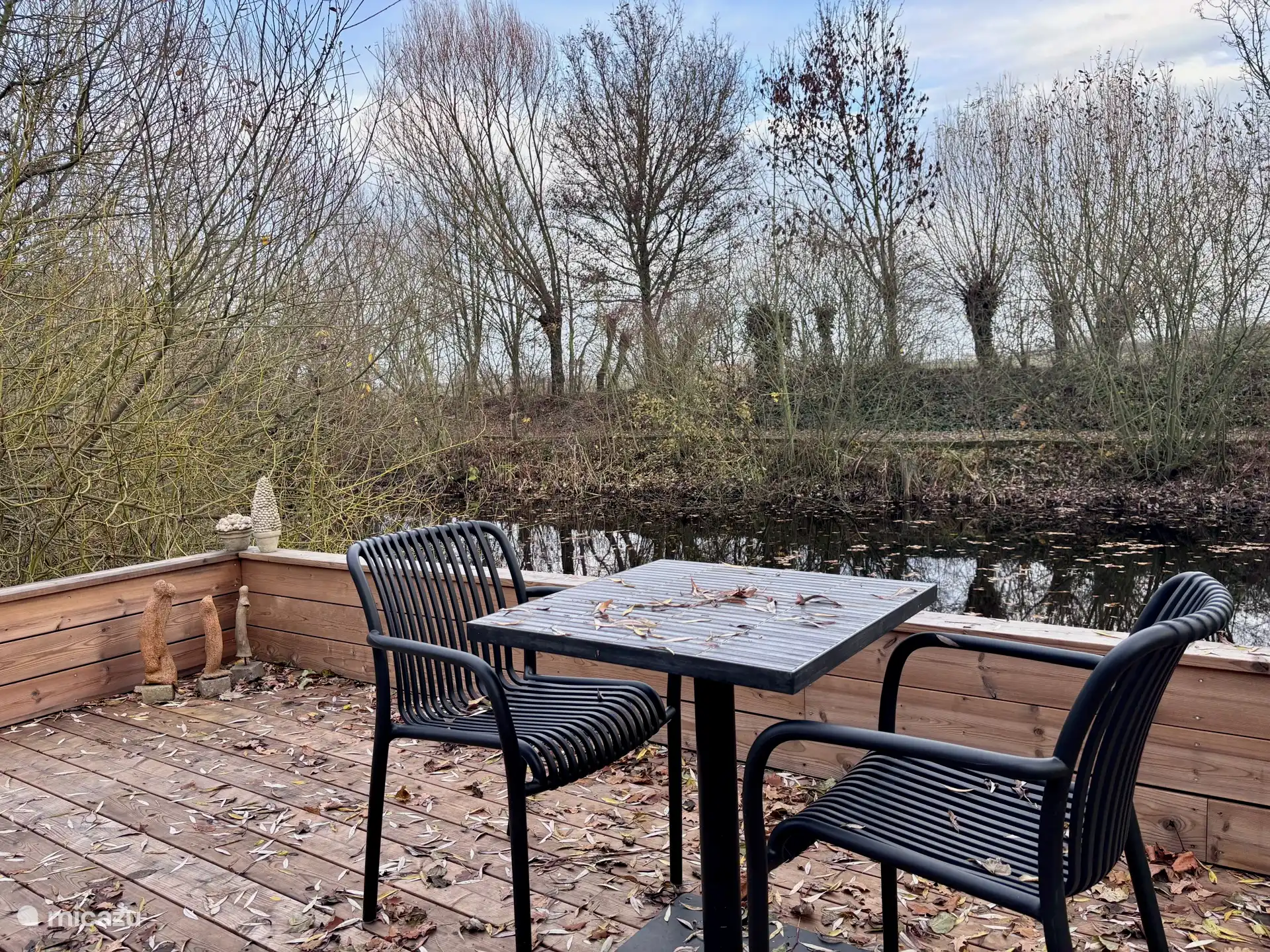terras met zicht op de vijver (herfst)