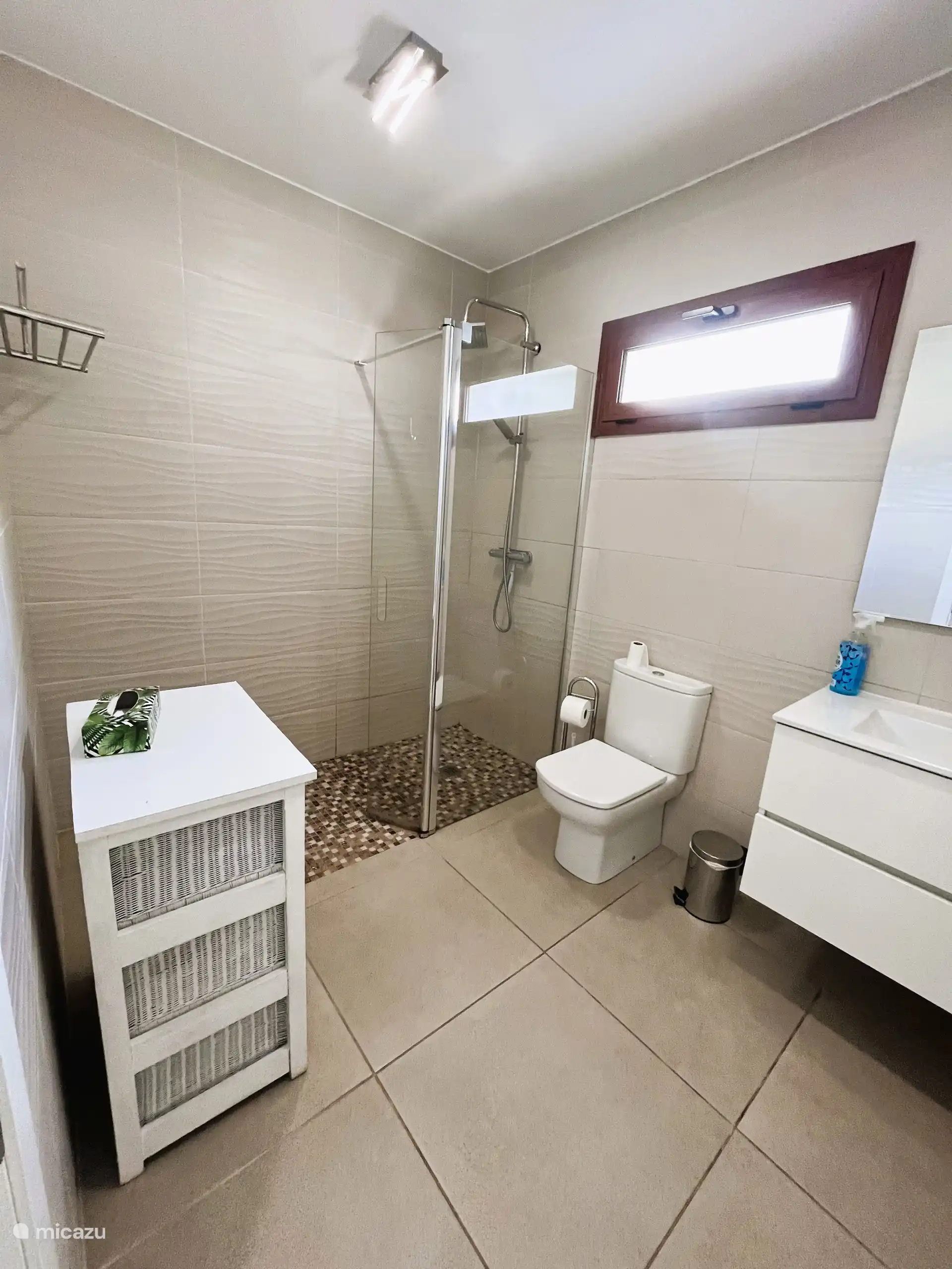 Badkamer met douche 1