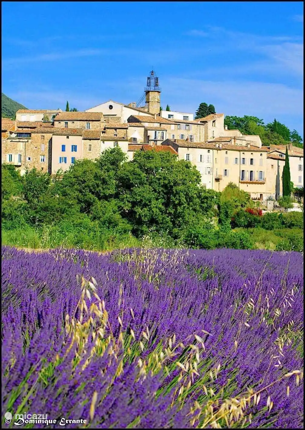 Lavendeldorp van Venterol