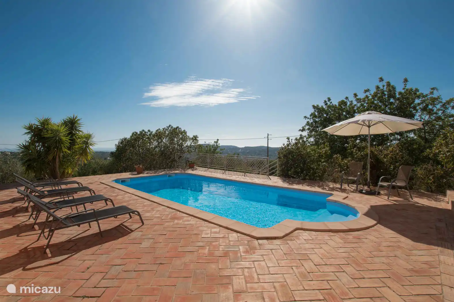 Piscine avec transats et parasol 