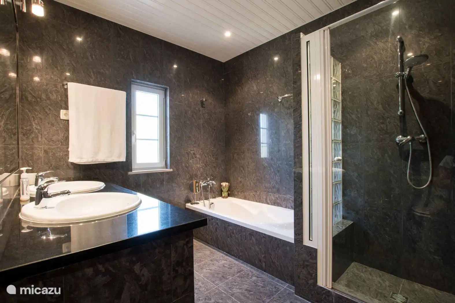 Salle de bain avec douche et bain 