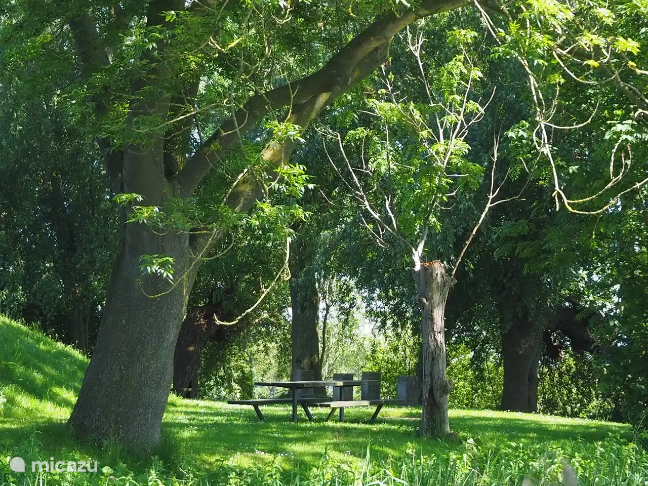 Geheimtip: zitje achter for Werk aan het Spoel