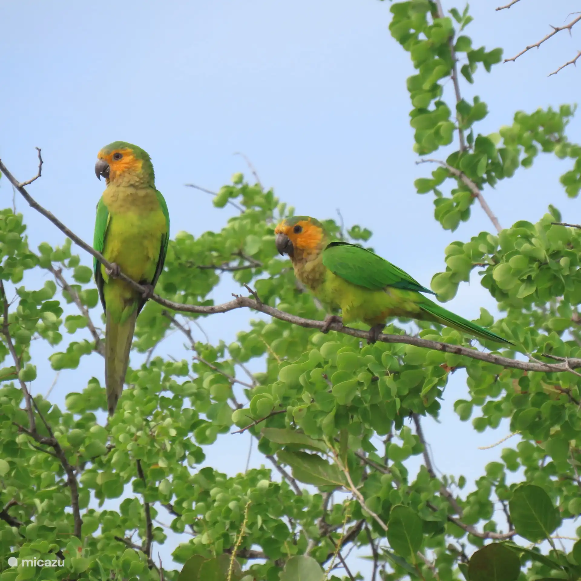 Enjoy from the Porch