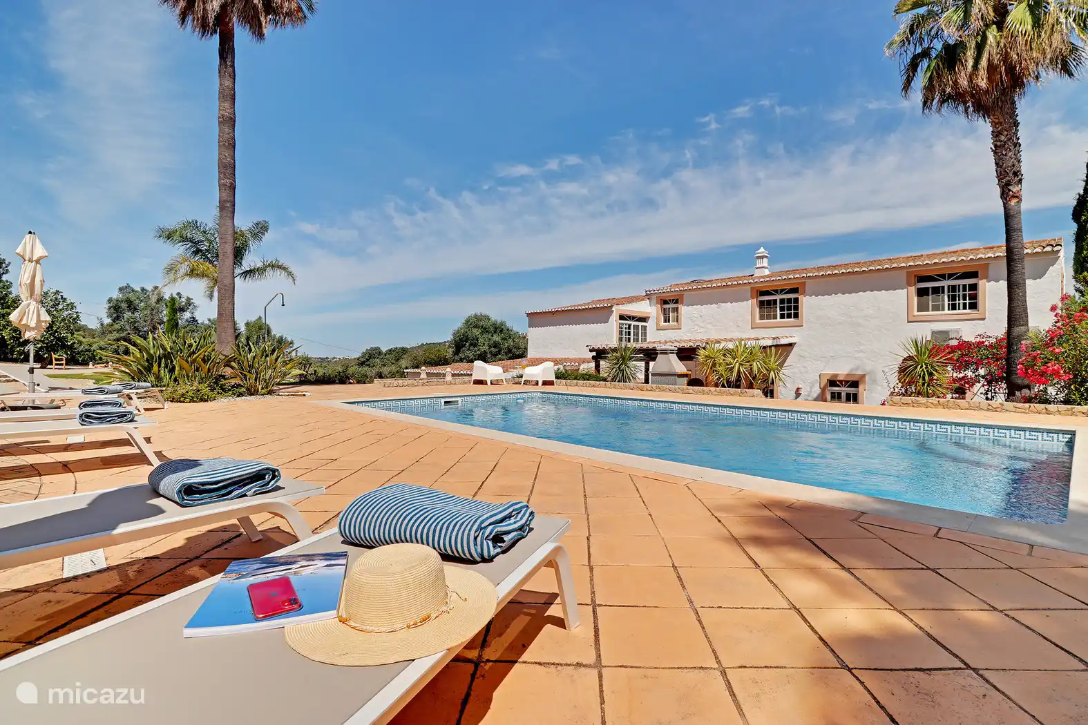 Piscine avec chaises longues 