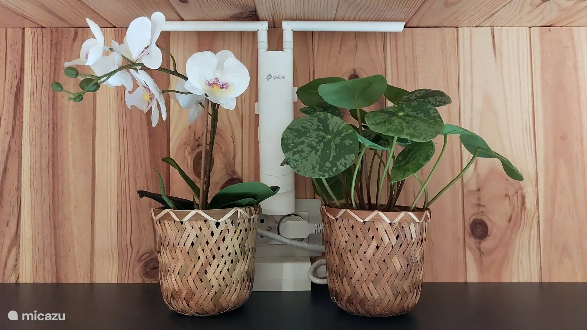 Wifipunt voor binnen en buiten