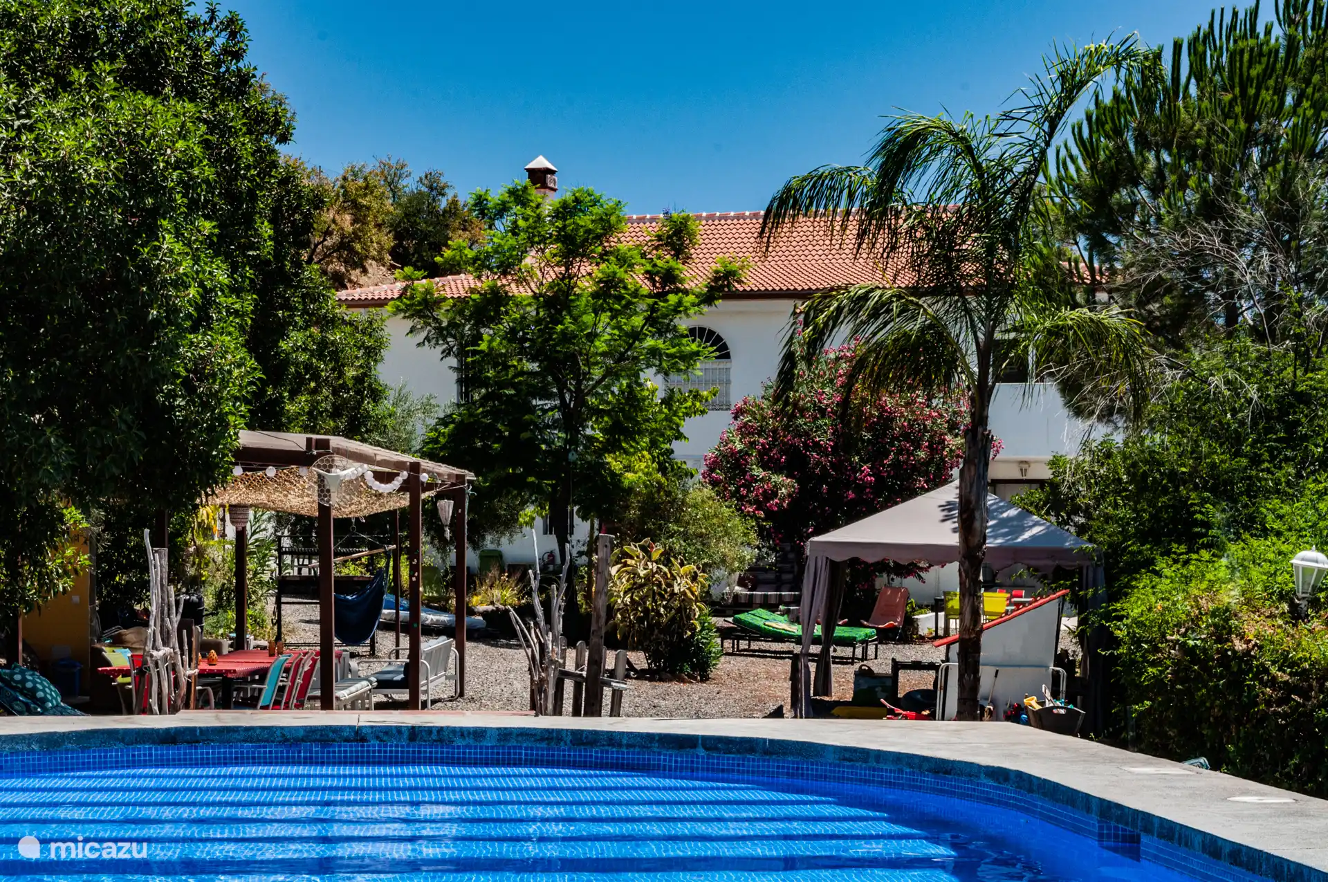 Le jardin vert avec piscine d’eau salée