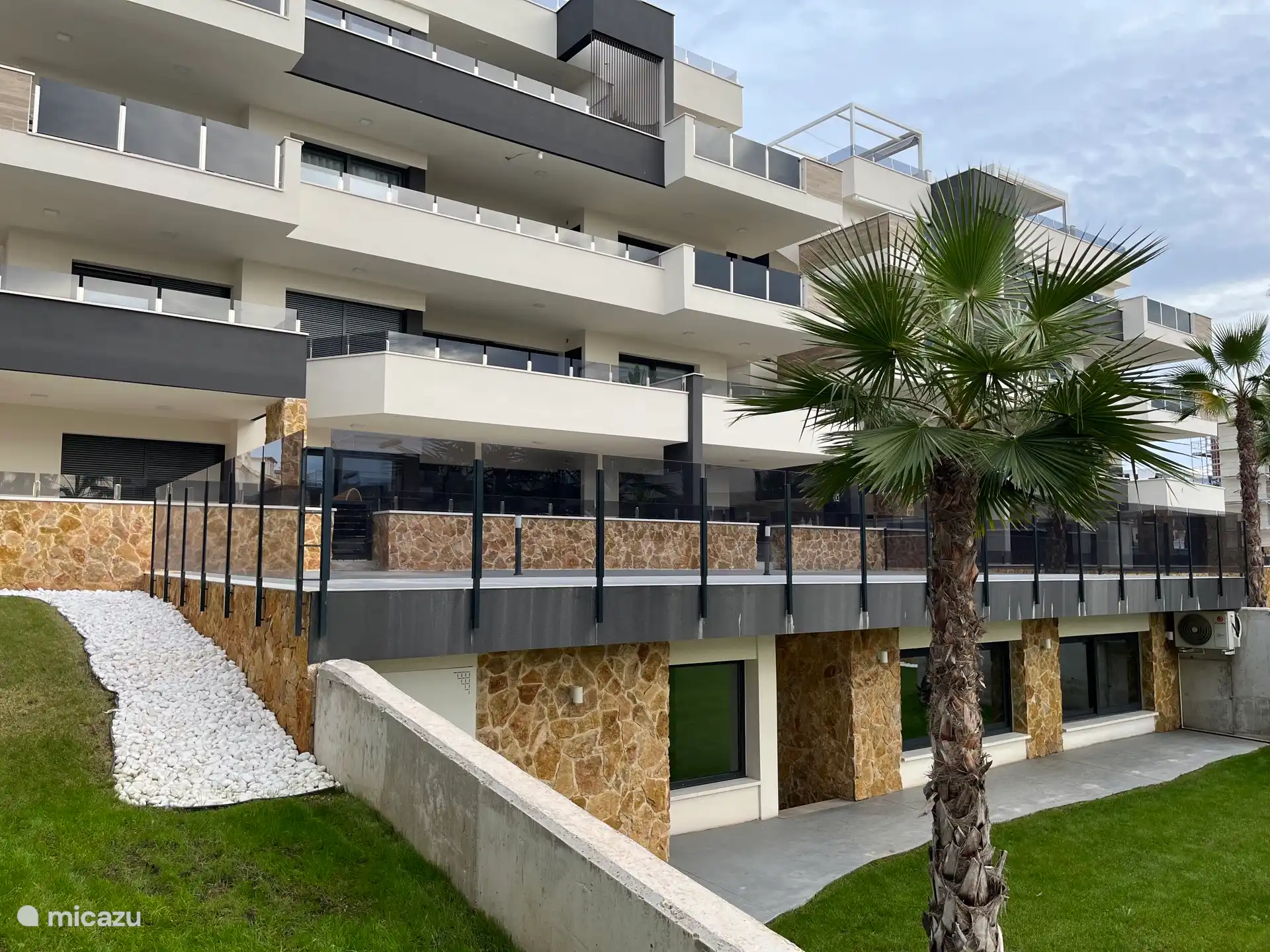 Aspecto verde del jardín del patio con muchas palmeras y césped auténtico.