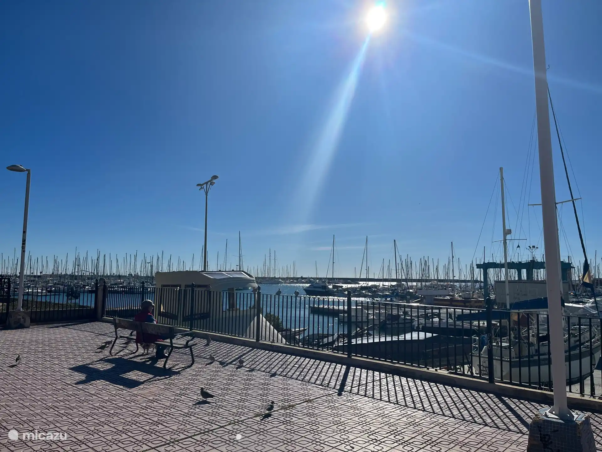 La Marina de Torrevieja, con un bulevar encantador para pasear y pasear (y aparcamiento público), a solo 15 minutos en coche.