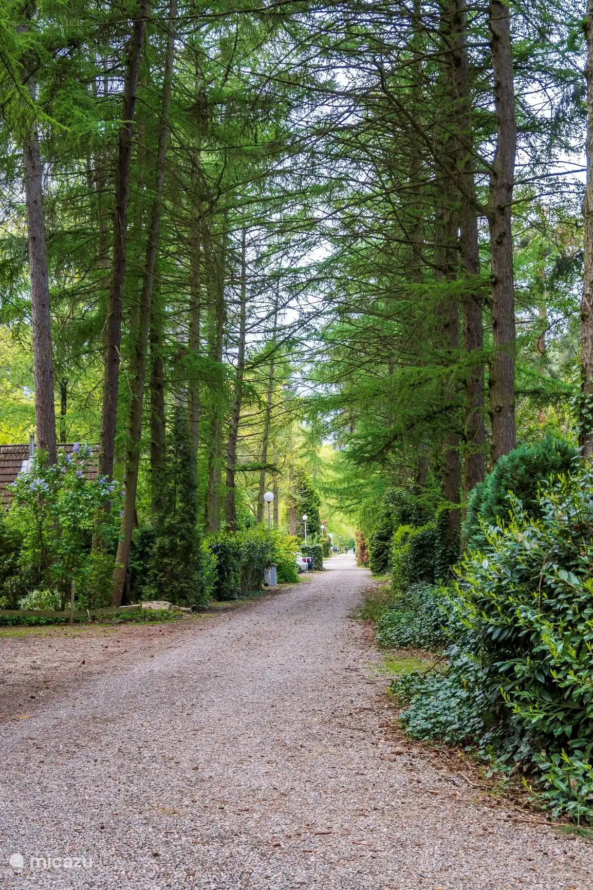 Het atelierhuisje ligt aan het einde van een doodlopende weg.