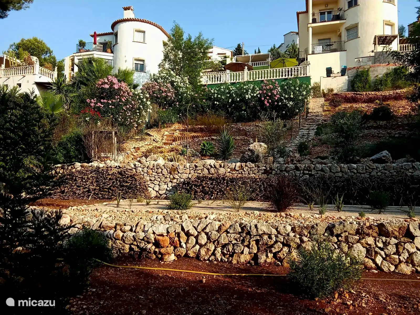 Panorama zicht van beneden in de tuin