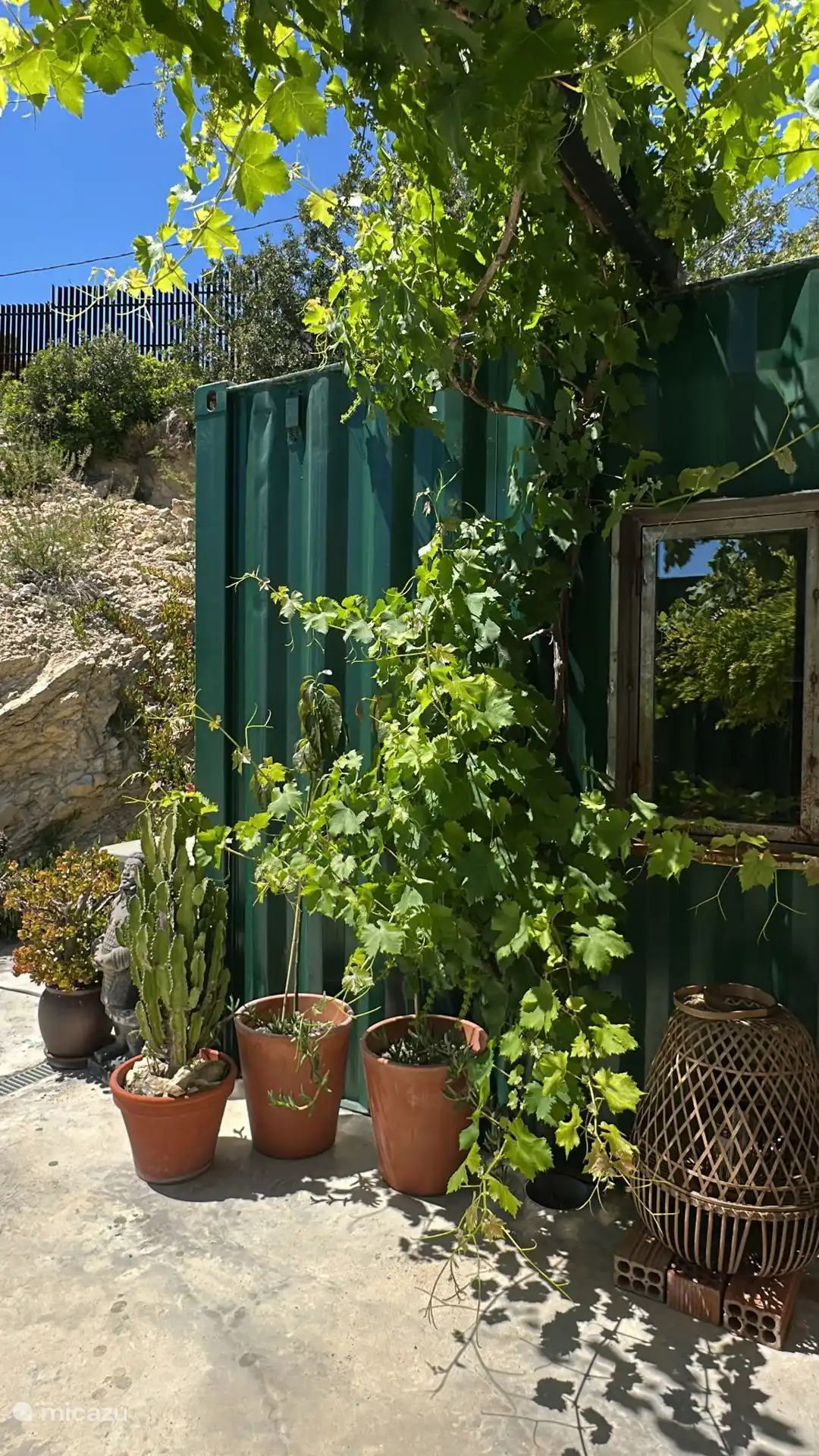 Tuin met Meditterane planten