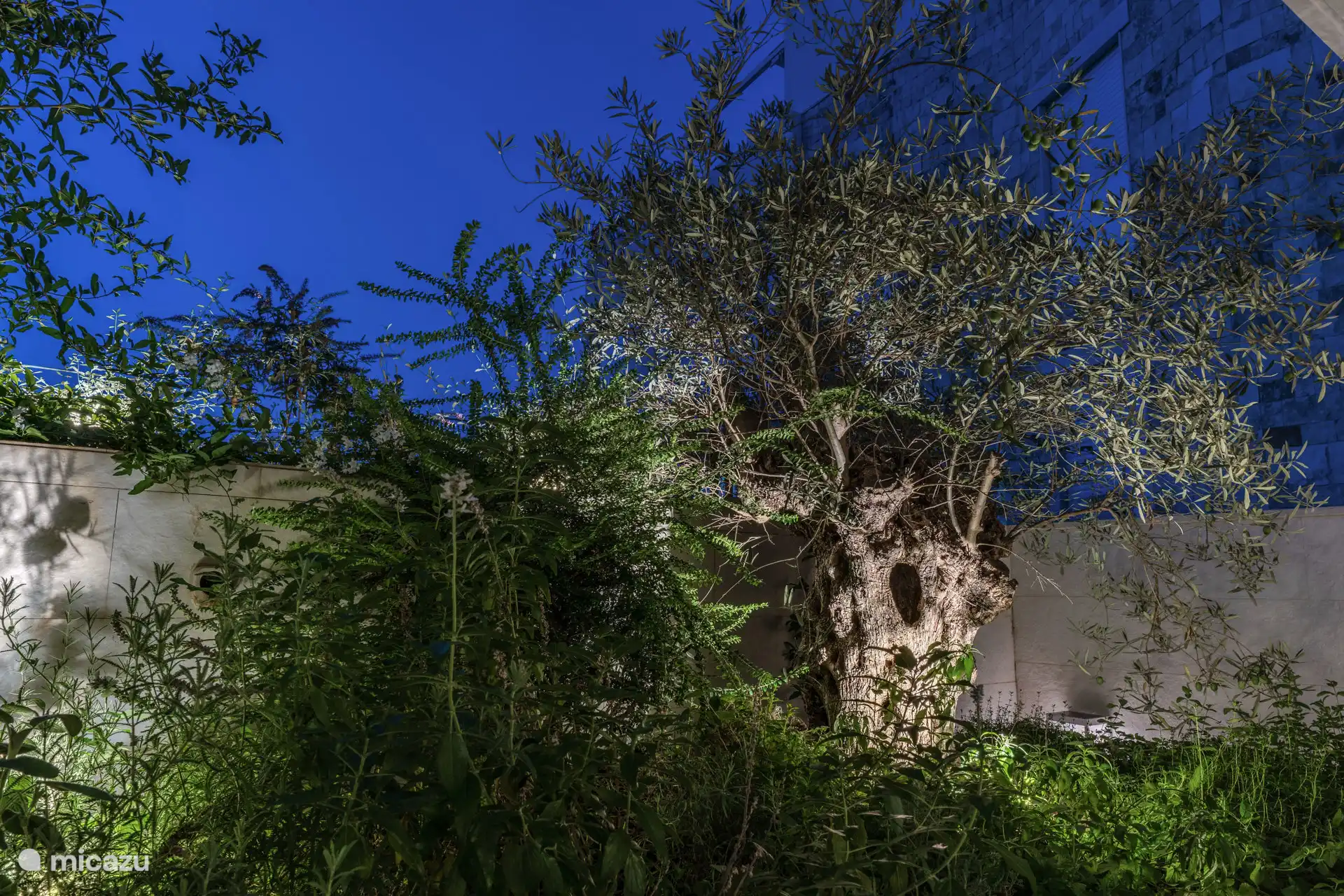 Privéterrassen en tuinen vol aromatische planten en mediterrane specerijen, waar de olijfboom, een tijdloos symbool van Apulië, trots staat en de naam OLEA inspireerde.
