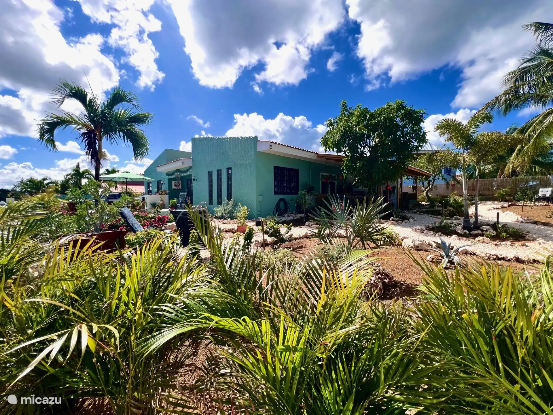 huis met tuin en terras Biba