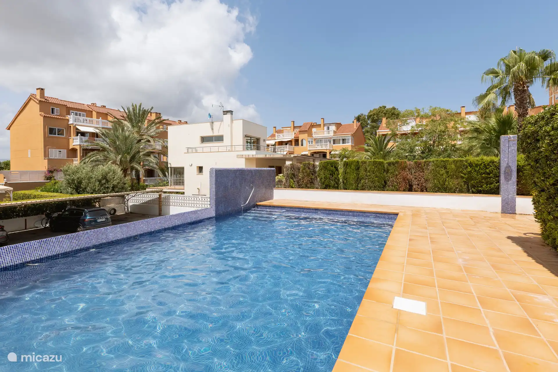 Gemeenschappelijk zwembad 