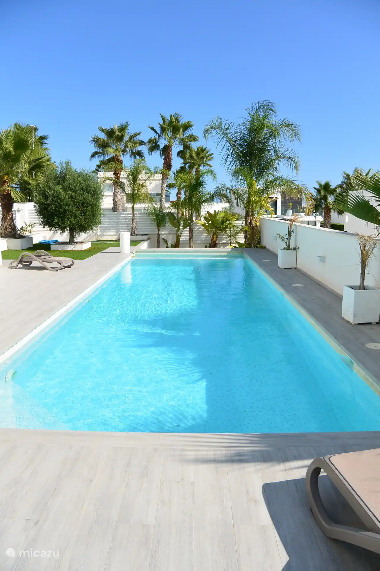 Ruim zwembad van 12 op 4 meter