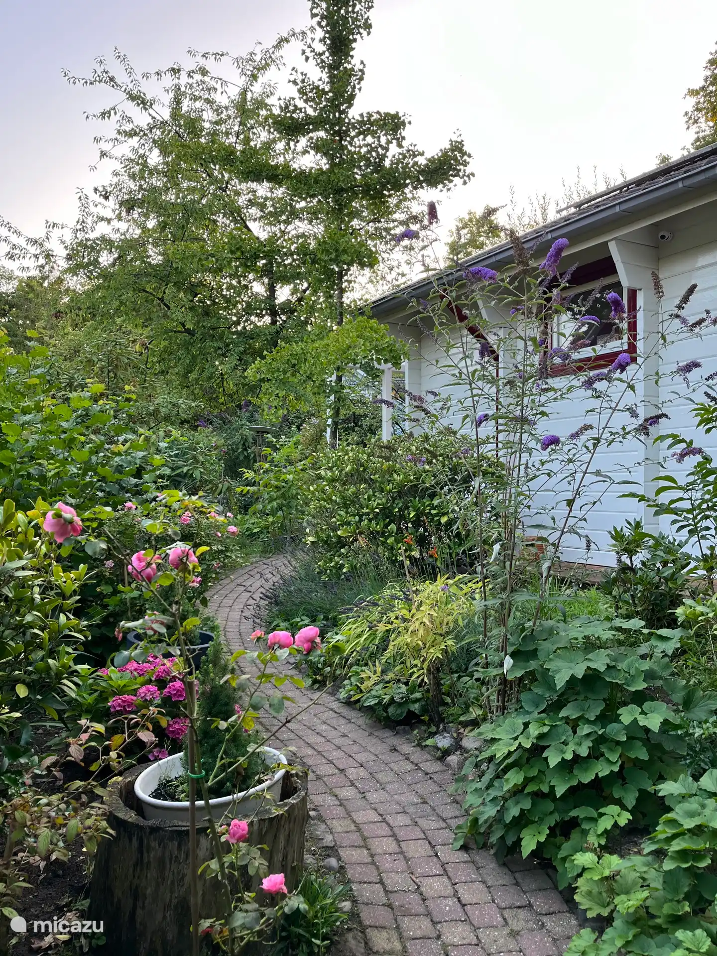 ¡Casa tú mismo del Jardín de Mariposas de paso a casa!