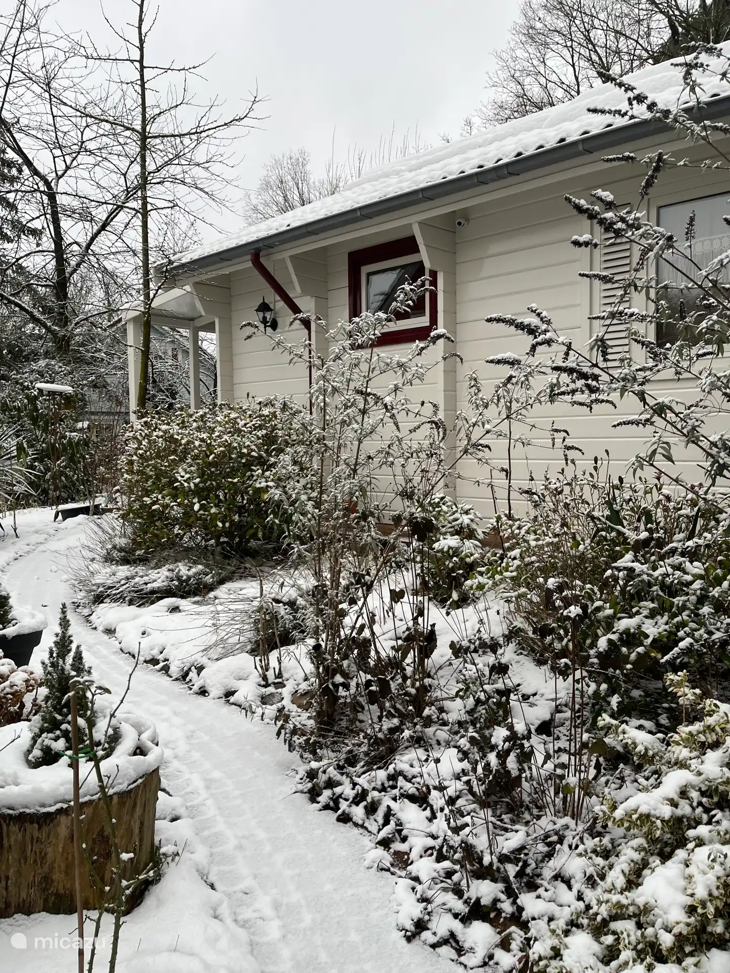 Casa bricolaje el Jardín de Mariposas - ¡Fibes de invierno!
