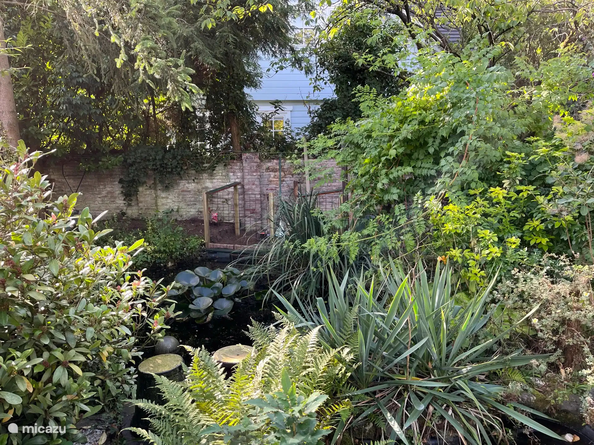 ¡Casa tú mismo el Jardín de Mariposas!