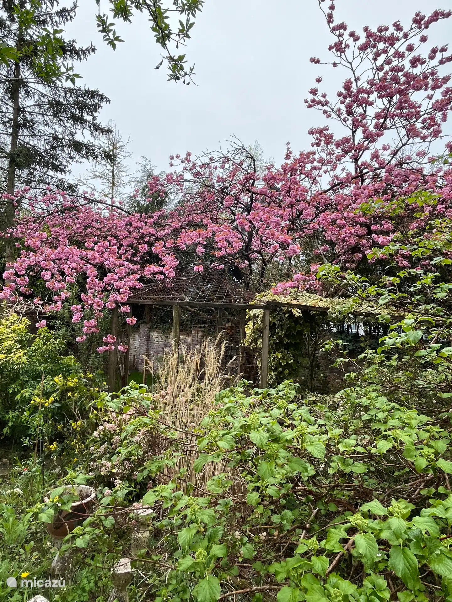 Voorjaar 2026??????????